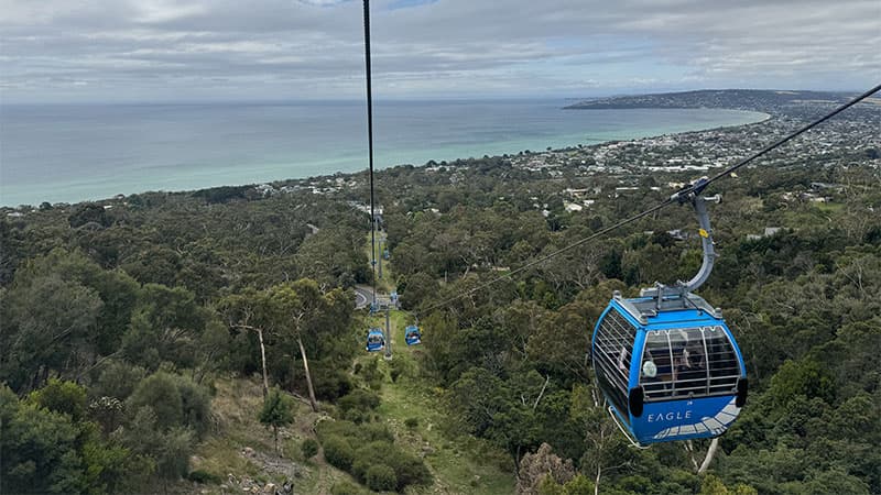 Arthurs Seat Eagle Gallery