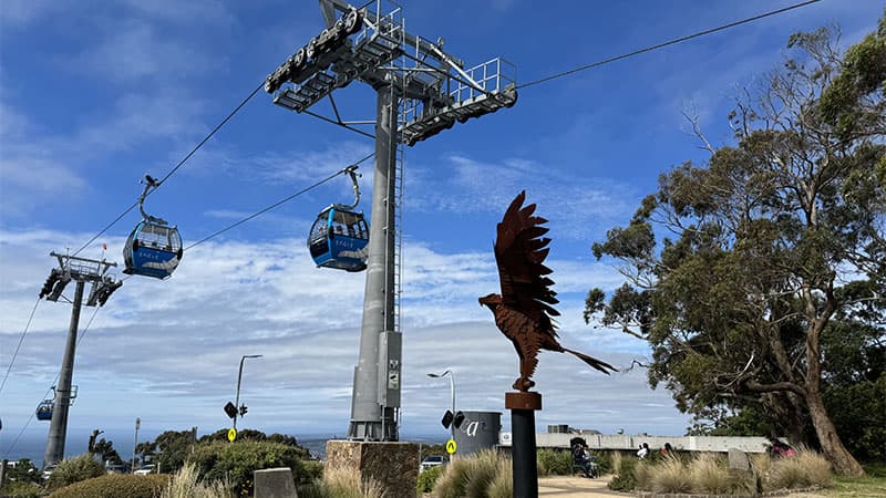 Arthurs Seat Eagle Gallery2