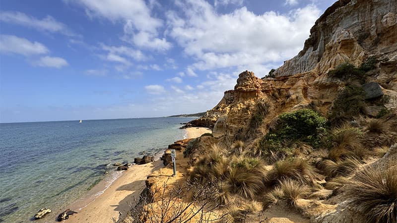 Red Bluff Lookout