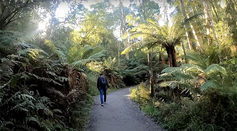 Kokoda Memorial Walk (The Thousand Steps) Mt.Dandenong 5